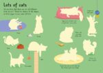 Carte cu stickere, LITTLE FIRST STICKERS CATS AND KITTENS, Usborne, + 3 ani - imagine 3