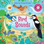 Carte senzoriala cu sunete, BIRD SOUNDS, Usborne, + 6 luni