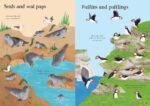 Carte cu stickere, LITTLE FIRST STICKERS SEASHORE, Usborne - imagine 2