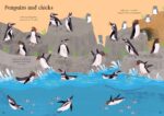 Carte cu stickere, LITTLE FIRST STICKERS SEASHORE, Usborne - imagine 4