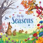 Carte pop-up, POP-UP SEASONS, Usborne, + 3 ani