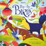 Carte pop-up, POP-UP BIRDS, Usborne, + 3 ani