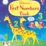 First concepts, FIRST NUMBERS, Usborne, + 3 ani