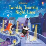 Carte cu luminite,  TWINKLY TWINKLY NIGHT TIME, Usborne, + 6 luni