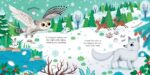 Carte senzoriala cu sunete, ARCTIC ANIMALS SOUND BOOK, Usborne, + 6 luni - imagine 3