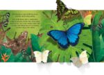 Carte pop-up, POP-UP BUTTERFLIES, Usborne, + 3 ani - imagine 6