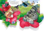 Carte pop-up, POP-UP BUTTERFLIES, Usborne, + 3 ani - imagine 4