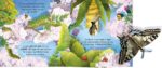 Carte pop-up, POP-UP BUTTERFLIES, Usborne, + 3 ani - imagine 3