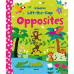 Carte cu clapete, LIFT-THE-FLAP OPPOSITES, Usborne, + 6 luni